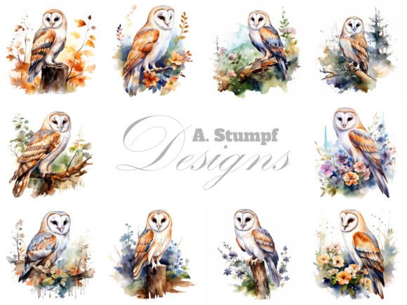 Download Barn Owl Clipart Watercolor Bird Images - Images Collection