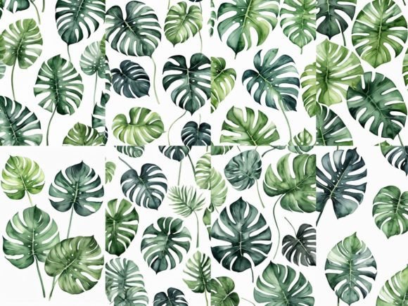 Download 32 Images Monstera Leaves Watercolor - Monster Collection